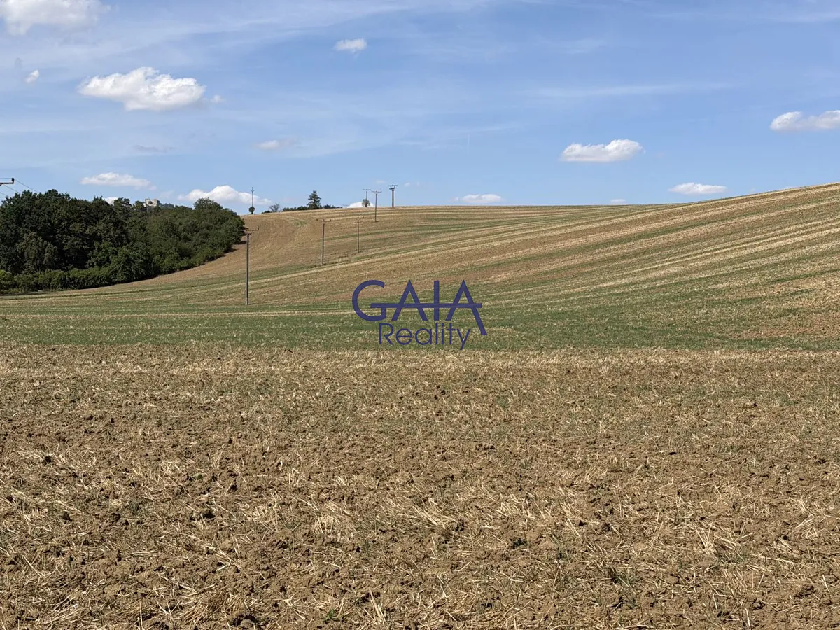 Prodej pole 8411 m²